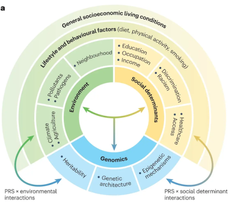 Figure 3a showing elements of environment, social determinants, and genomics