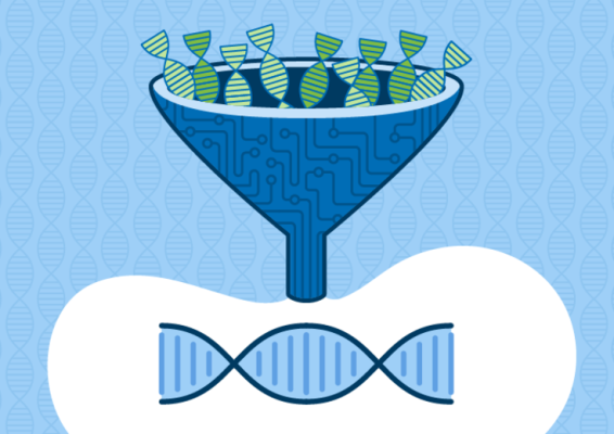 A funnel decorated with computer circuits compiles information from many DNA sequences into one polygenic risk score.
