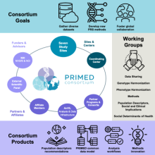 PRIMED Consortium goals, working groups, products, and structure